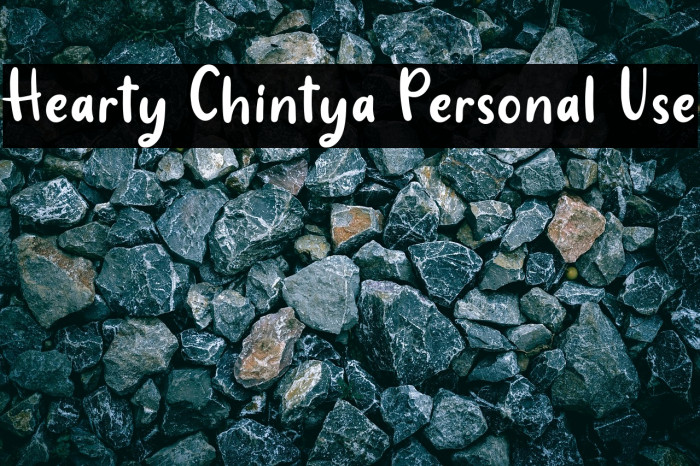 Hearty Chintya Personal Use Example 2