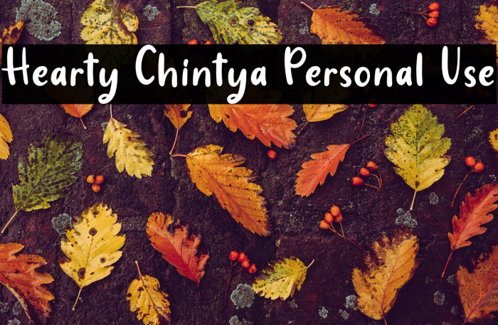 Hearty Chintya Personal Use Example 3