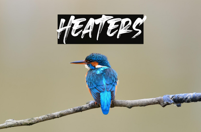 Heaters Example 1