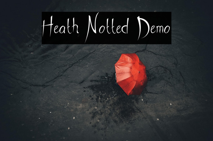 Heath Notted Demo Example 1