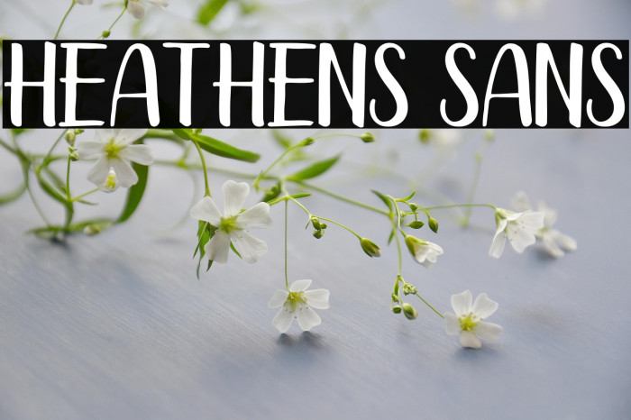 Heathens Sans Example 1