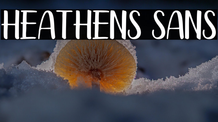 Heathens Sans Example 3