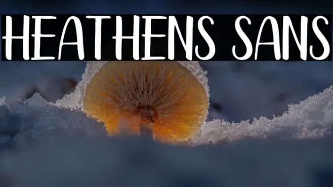 Heathens Sans Example 3