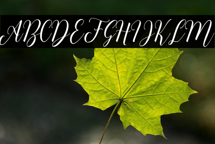 HeathensScript Example 3