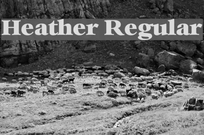 Heather Regular Font examples