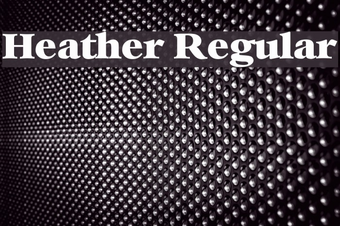 Heather Regular Font examples
