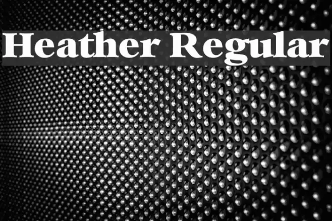Heather Regular Font examples