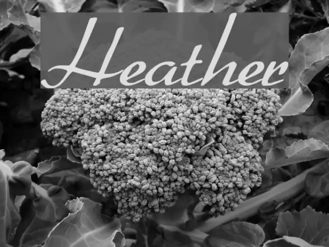 Heather Font examples