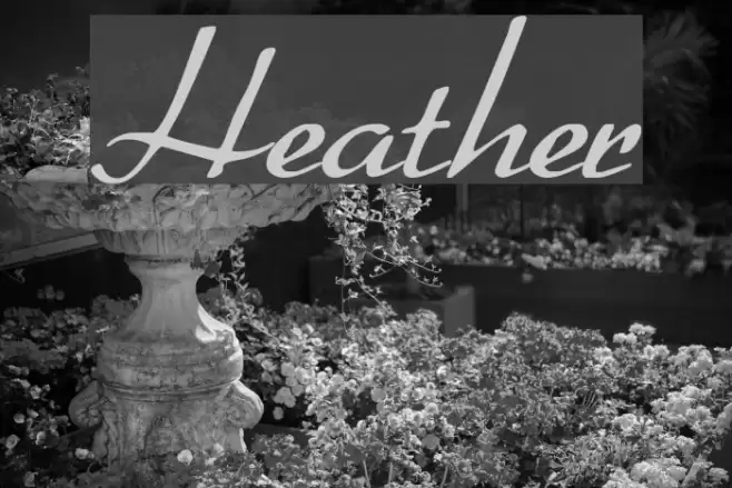 Heather Font examples