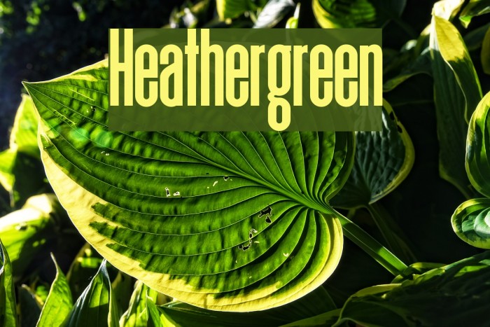 Heathergreen Example 2
