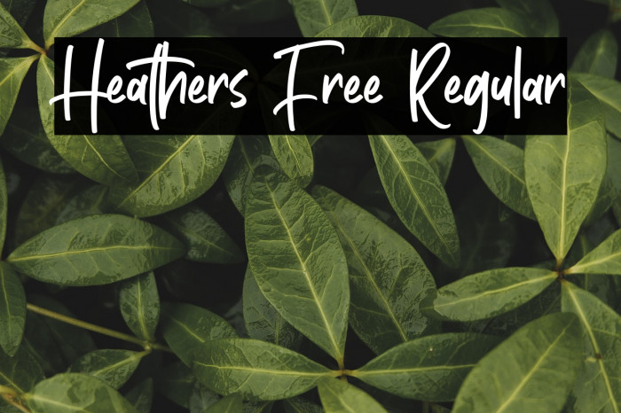 Heathers Free Regular Example 3