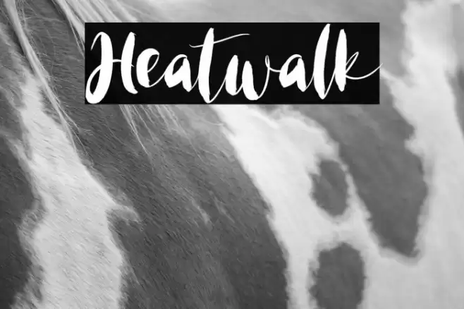 Heatwalk Font examples