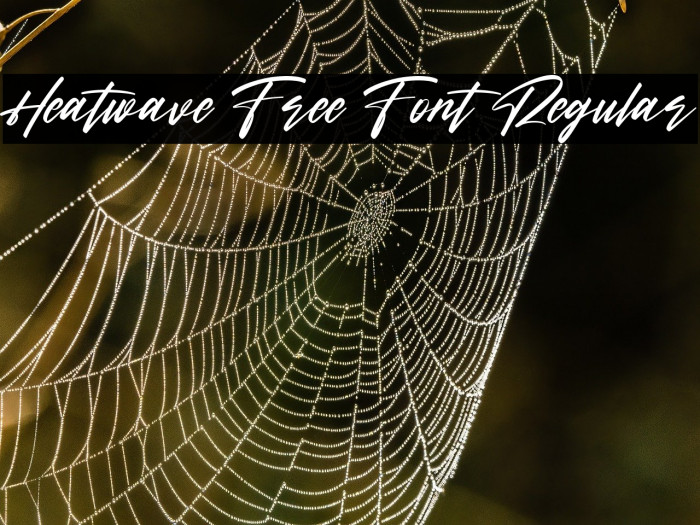 Heatwave Free Font Regular Example 1