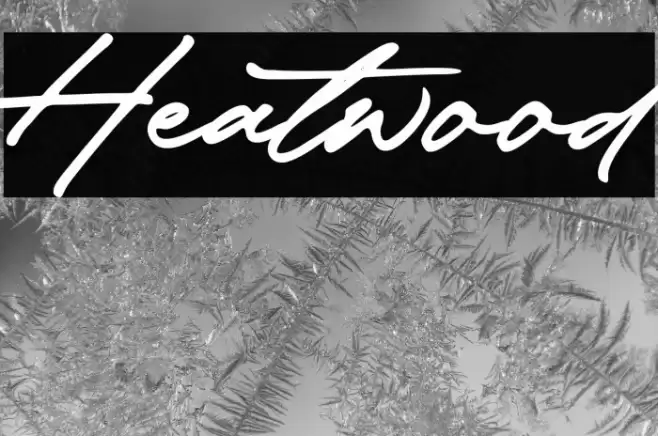 Heatwood Font examples