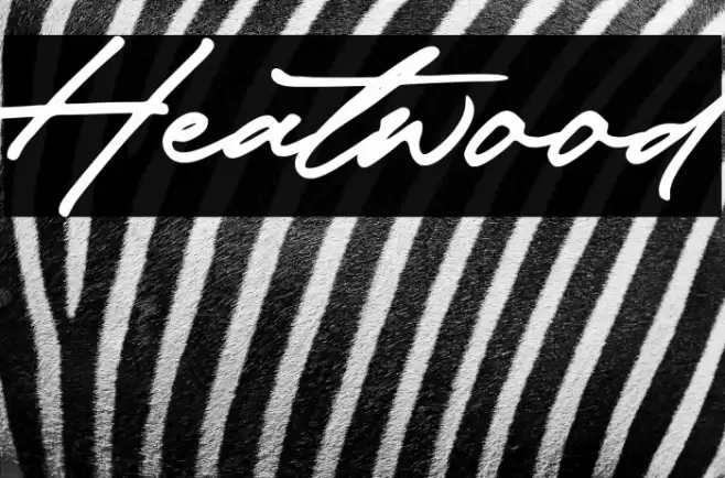 Heatwood Font examples