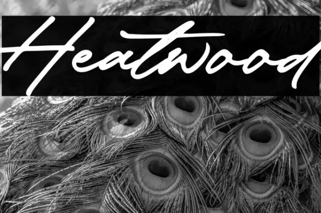 Heatwood Font examples