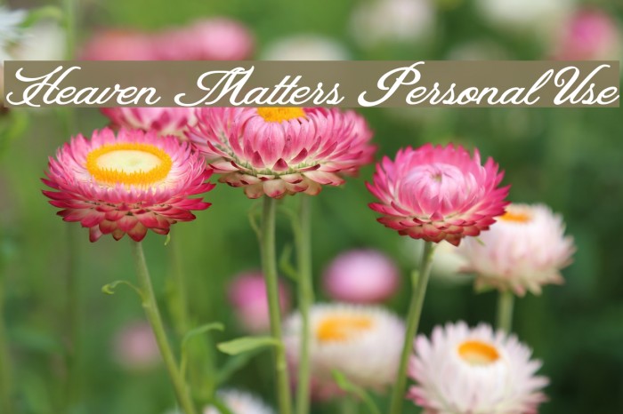Heaven Matters Personal Use Font examples