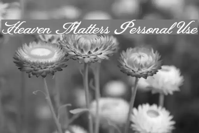Heaven Matters Personal Use Font examples