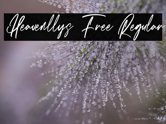 Heavenllys Free Regular Example 1