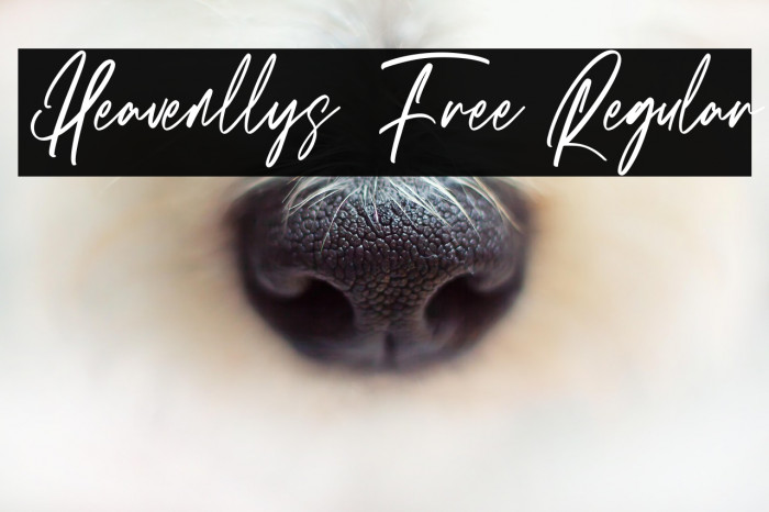 Heavenllys Free Regular Example 3