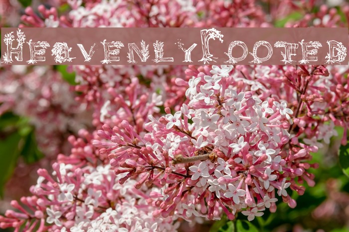 Heavenly Rooted Font examples