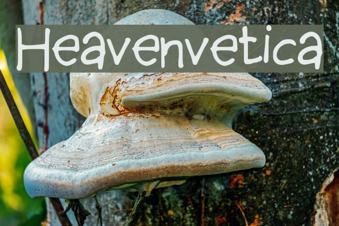 Heavenvetica Example 1