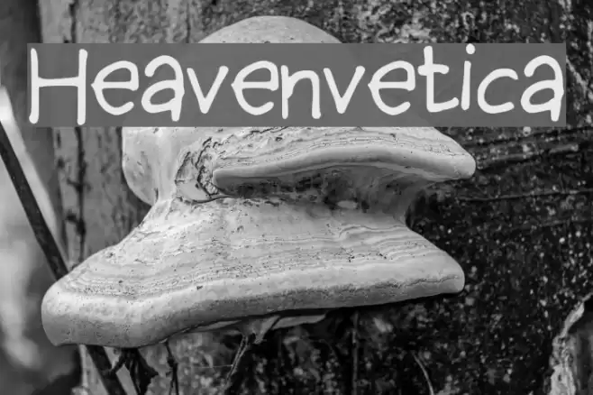 Heavenvetica Font examples