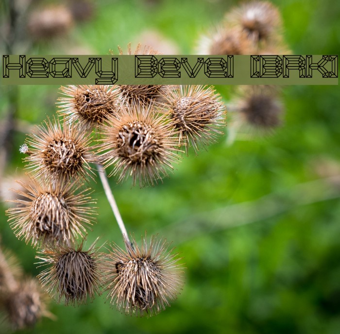 Heavy Bevel [BRK] Example 1