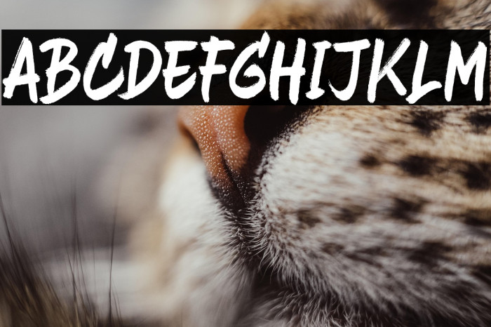 Heavy Black Example 3