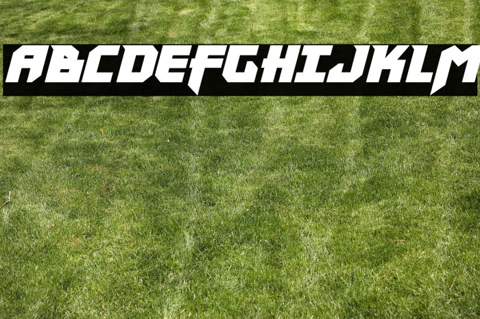 Heavy Copper Condensed Italic Example 3