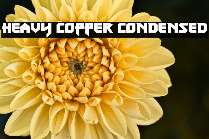 Heavy Copper Condensed Example 1