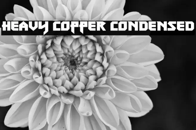 Heavy Copper Condensed Font examples