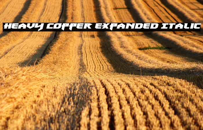 Heavy Copper Expanded Italic Example 3