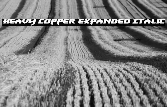 Heavy Copper Expanded Italic Font examples