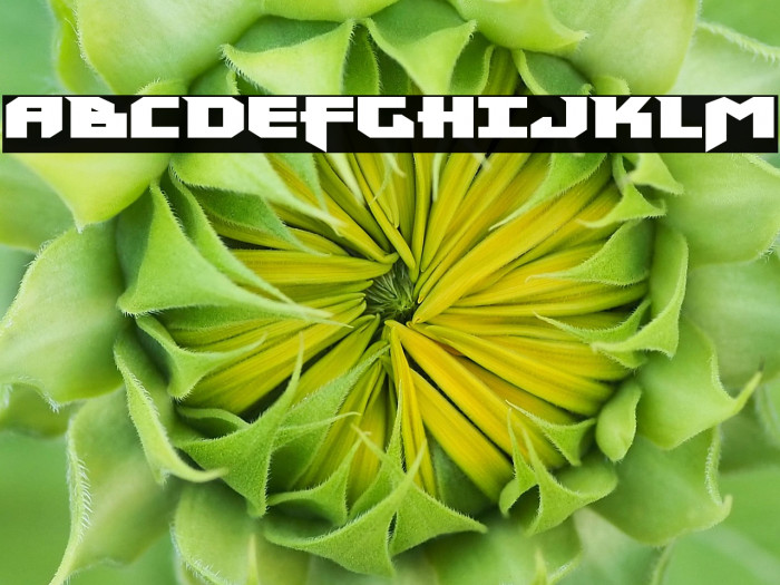 Heavy Copper Expanded Example 2