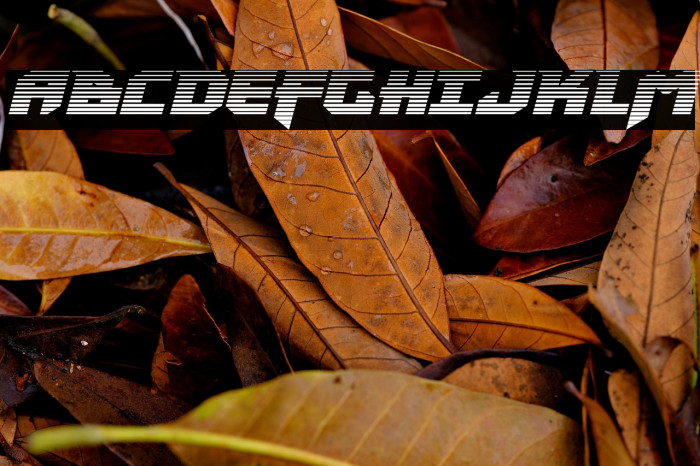 Heavy Copper Gradient Italic Example 1