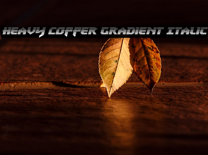 Heavy Copper Gradient Italic Example 1