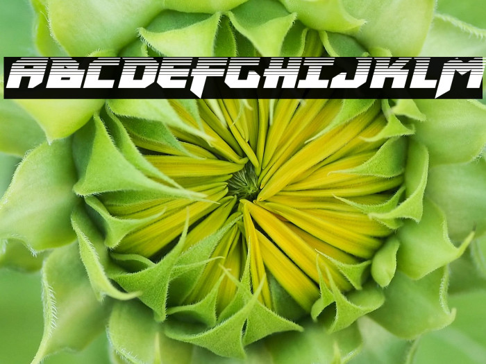 Heavy Copper Halftone Italic Example 2