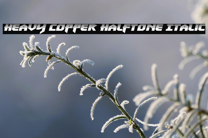 Heavy Copper Halftone Italic Example 1