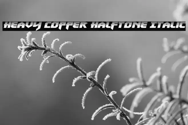 Heavy Copper Halftone Italic Font examples