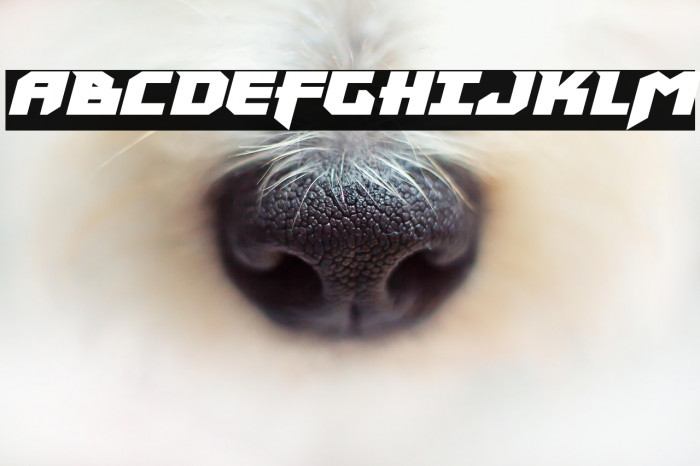 Heavy Copper Italic Example 1