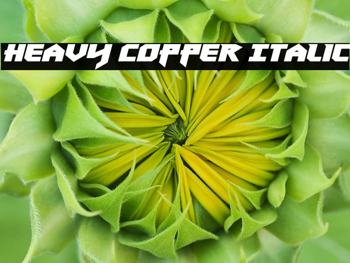 Heavy Copper Italic Example 1
