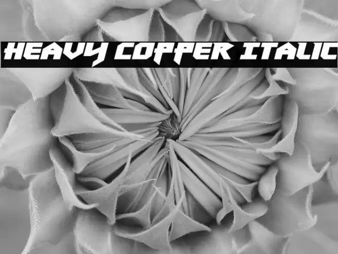 Heavy Copper Italic Font examples