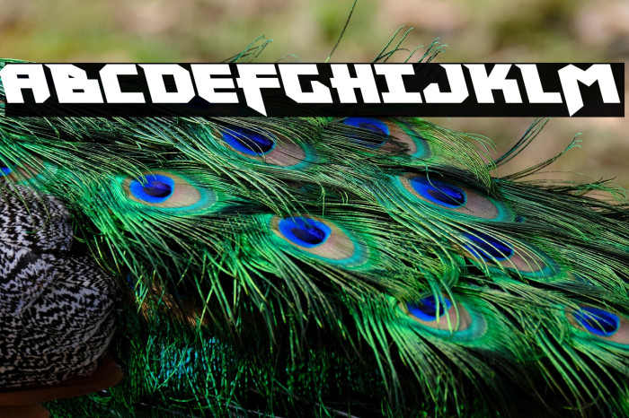 Heavy Copper Leftalic Example 1