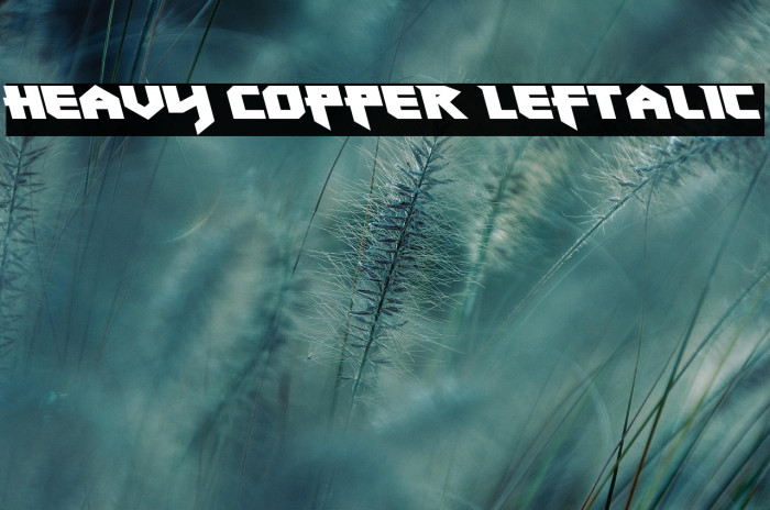 Heavy Copper Leftalic Example 2