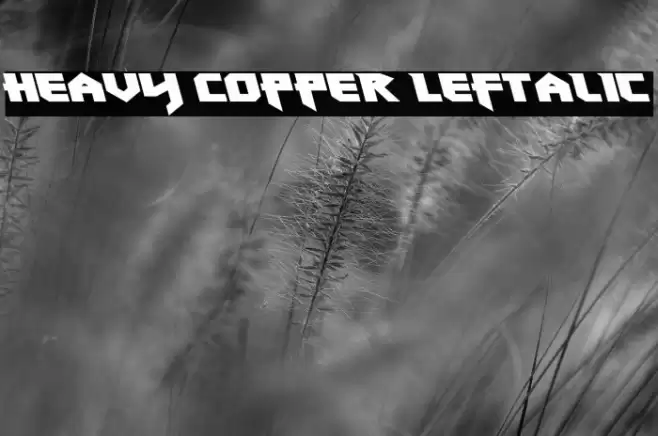 Heavy Copper Leftalic Font examples