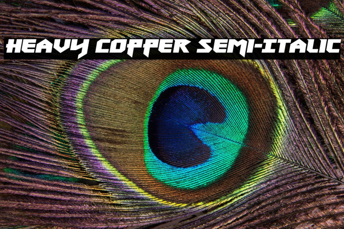 Heavy Copper Semi-Italic Example 1