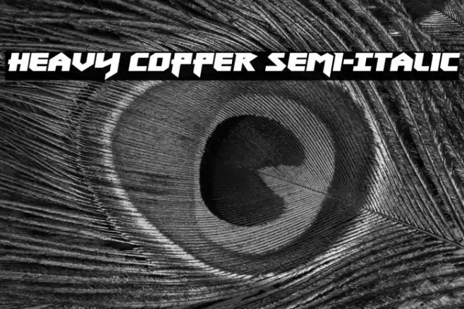 Heavy Copper Semi-Italic Font examples