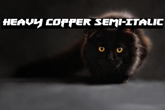 Heavy Copper Semi-Italic Example 3