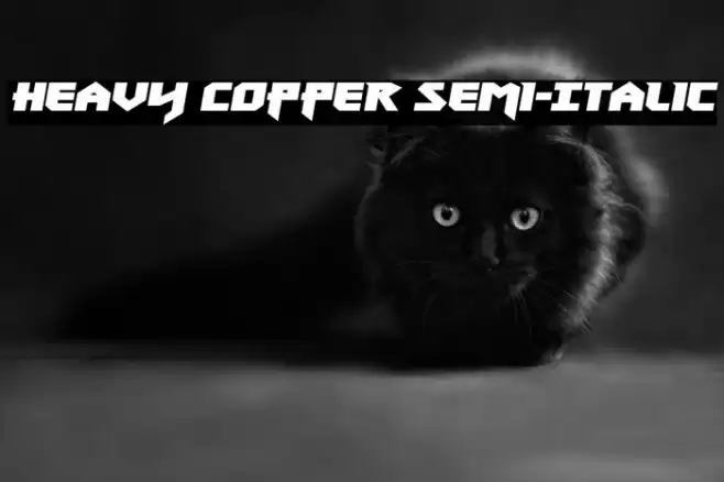 Heavy Copper Semi-Italic Font examples